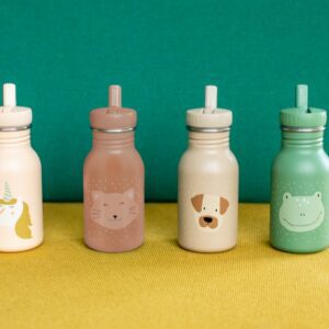 Roostevabast Terasest Joogipudel 350ml - Proua Kass