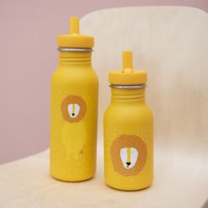 Roostevabast Terasest Joogipudel 500ml - Härra Lõvi