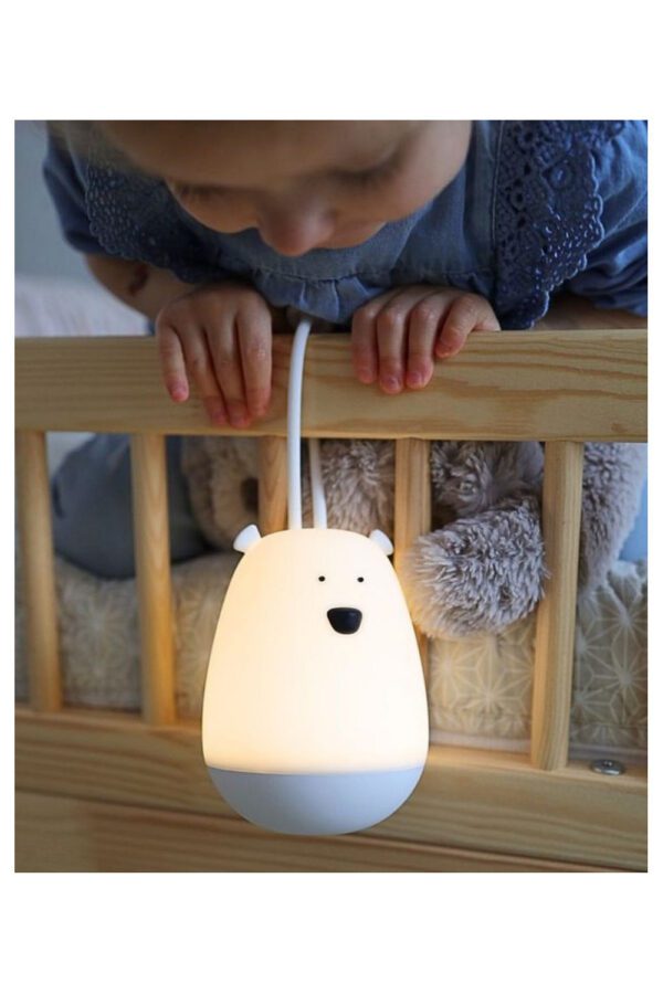 Riputatav Öölamp Kaugjuhtimispuldiga - Pilt 4
