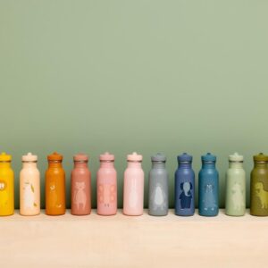 Roostevabast Terasest Joogipudel 500ml - Härra Tritseratops