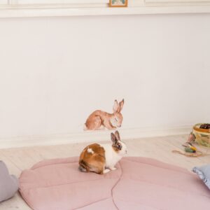 Orgaanilisest Puuvillast ja Linasest Lehekujuline Mängumatt - Puuderroosa